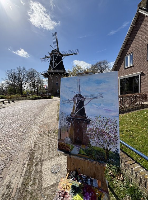 Magnolia and Historic Windmill
