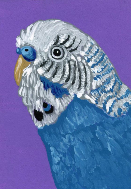 ACEO ATC Original Miniature Painting Parakeet Budgie Bird Pet Art-Carla Smale