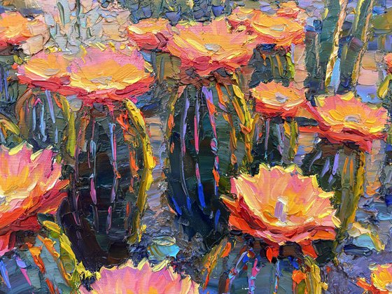 "Morning in Canyon "