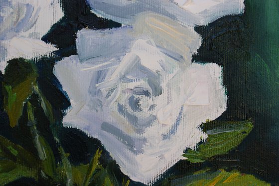 White roses