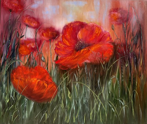 Fragility and originality - red poppy