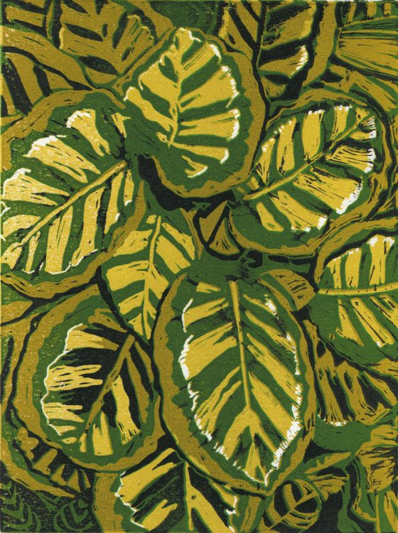 Tiger Leaves