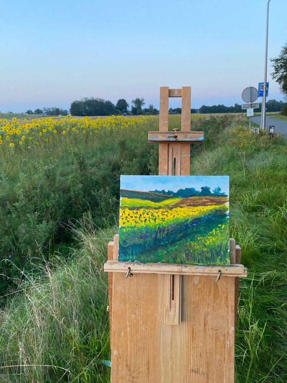 Sunflowers field. Plein air