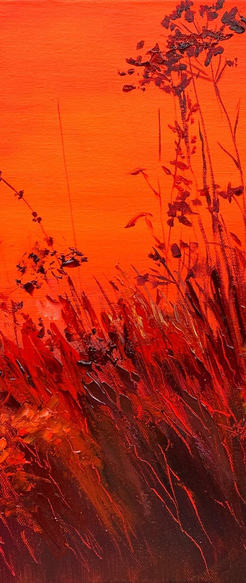 Sunset by Olena Hontar