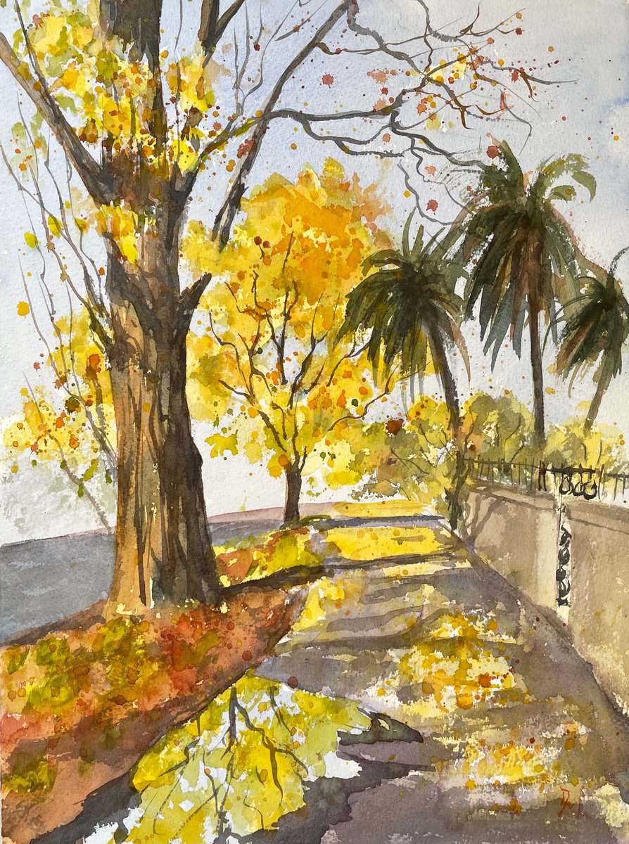 Autumn in Auckland by Shelly Du