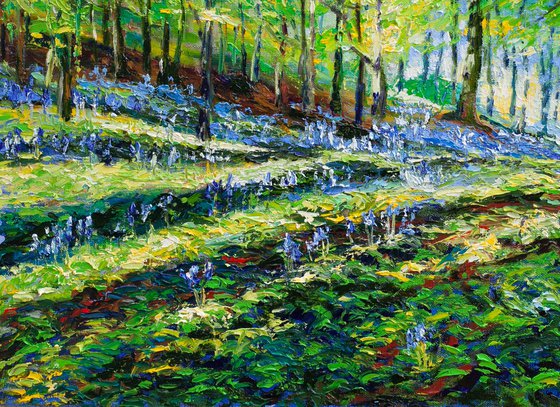 Bluebell Wood