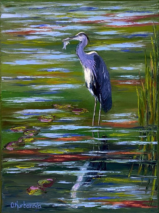 Heron fishing