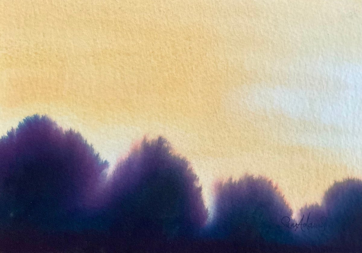 Trees at dusk by Samantha Adams