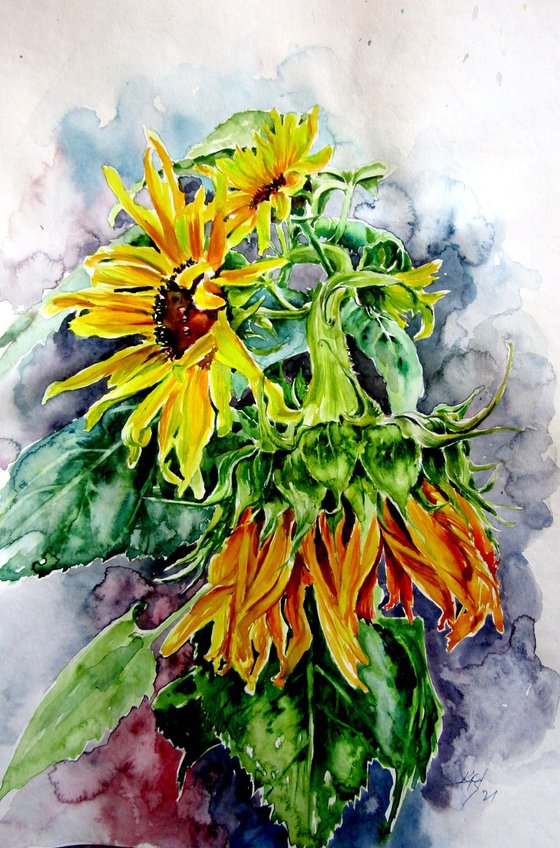 Sunflowers in the garden