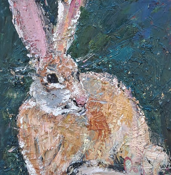 My Irish Hare