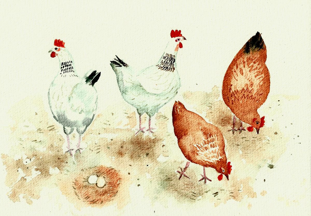 Happy Chickens by Mary Stubberfield