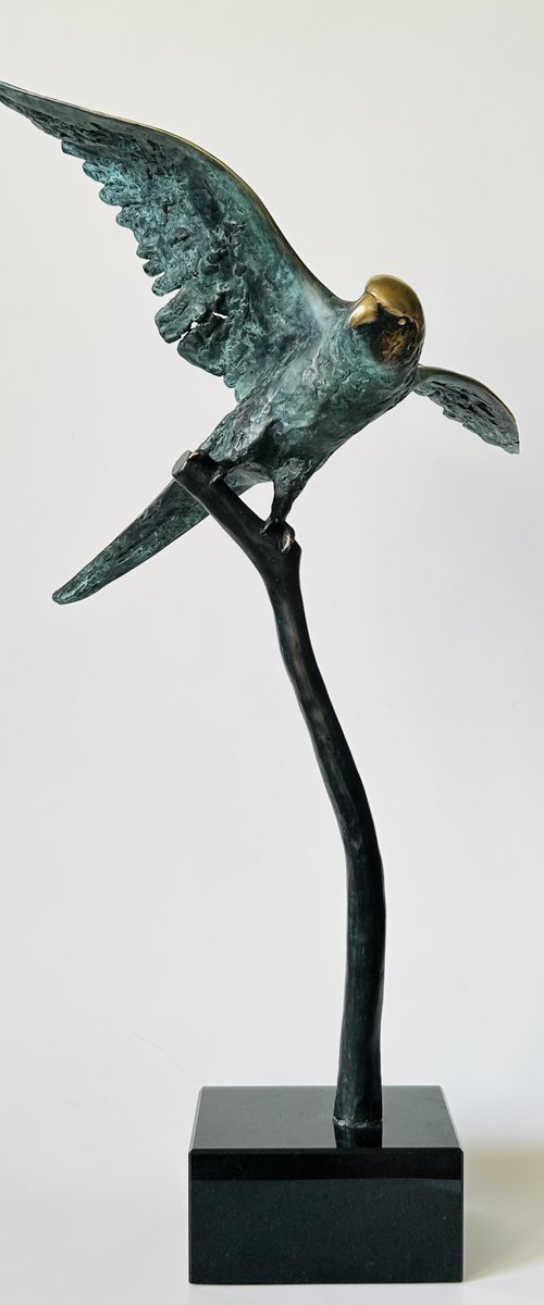 Emerald Flight Reverie, no.V/VIII by Joanna Cholewa