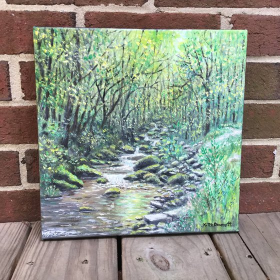 CREEK NEAR OLD FORT NC   (SOLD)