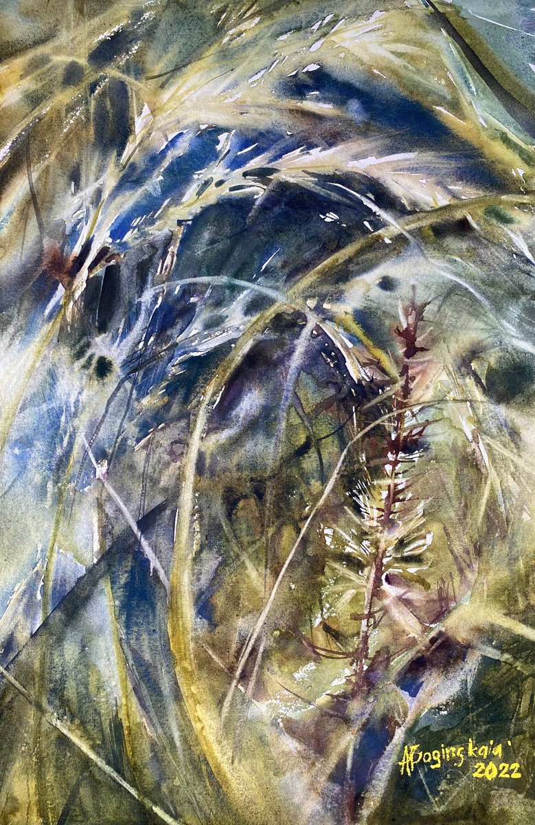 Spiring by Anna Boginskaia