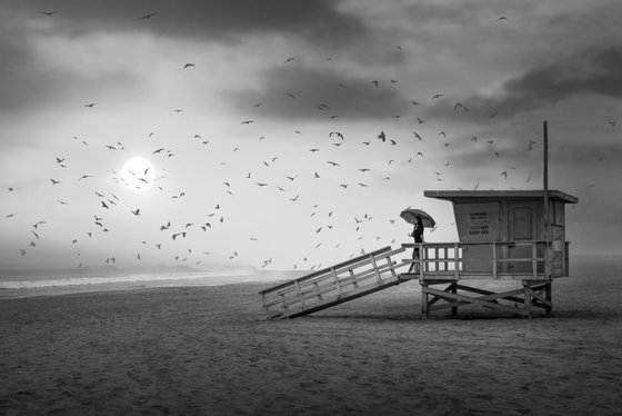 PACIFIC MOODS...HOLIDAY SALE 20% DISCOUNT THRU 12/3/22 - Limited Edition Photo Made inVenice Beach, California