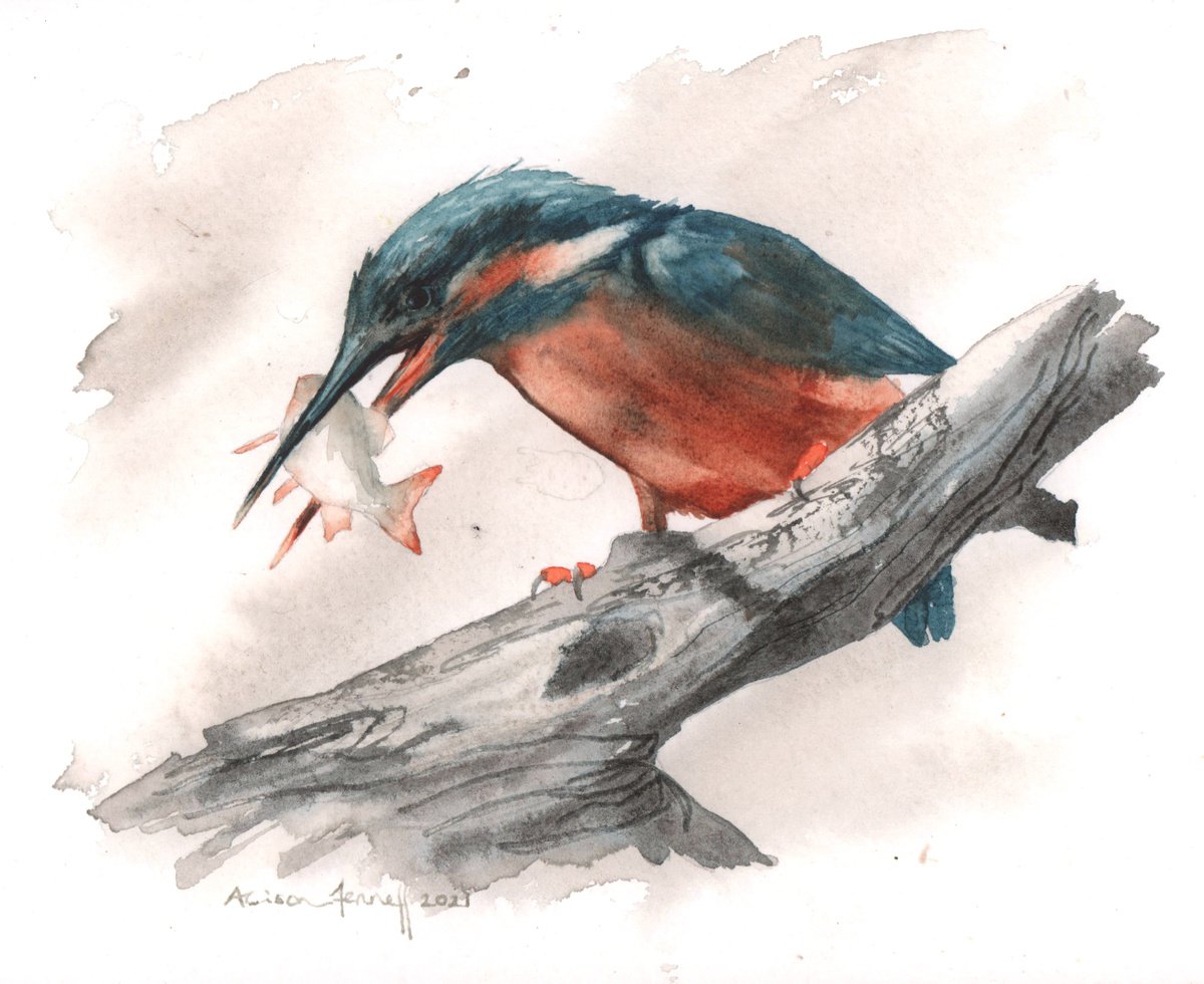 Watercolour Kingfisher - original painting by Alison Fennell