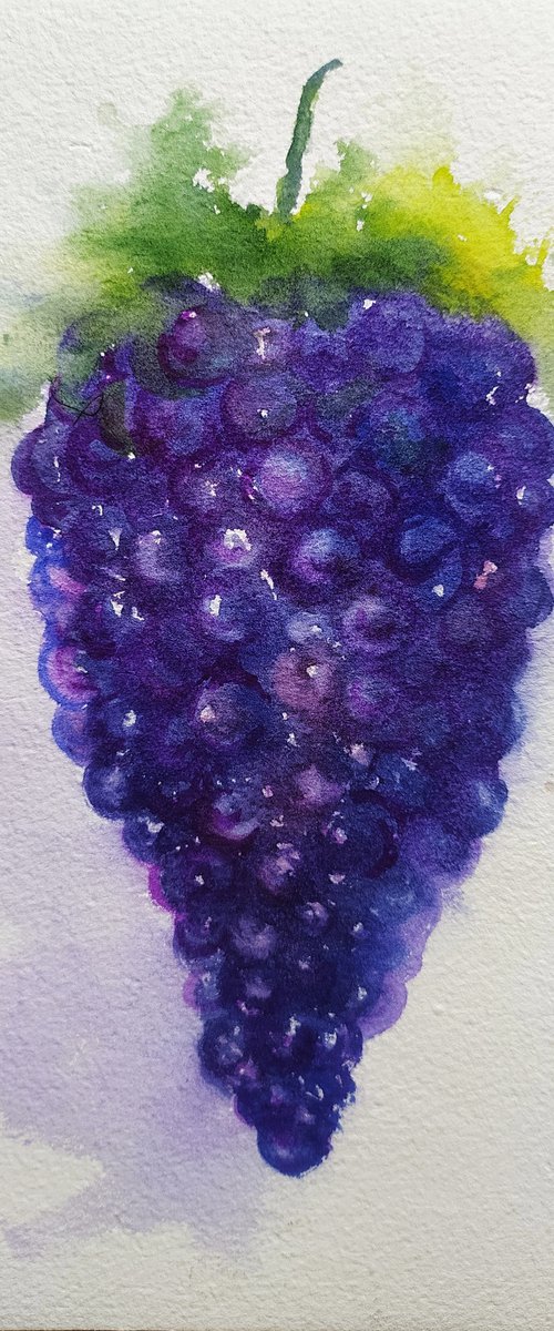 Purple grapes 2 by Asha Shenoy