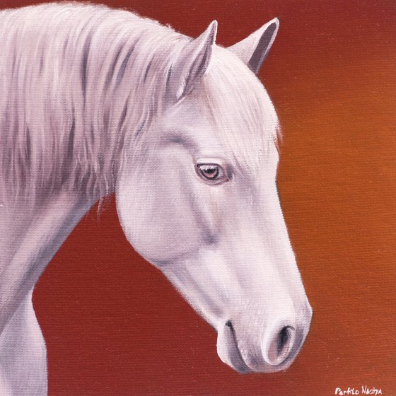 Horse Portrait 88