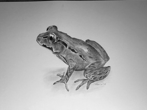 Sitting frog