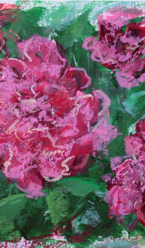 Peonies by Salana Art