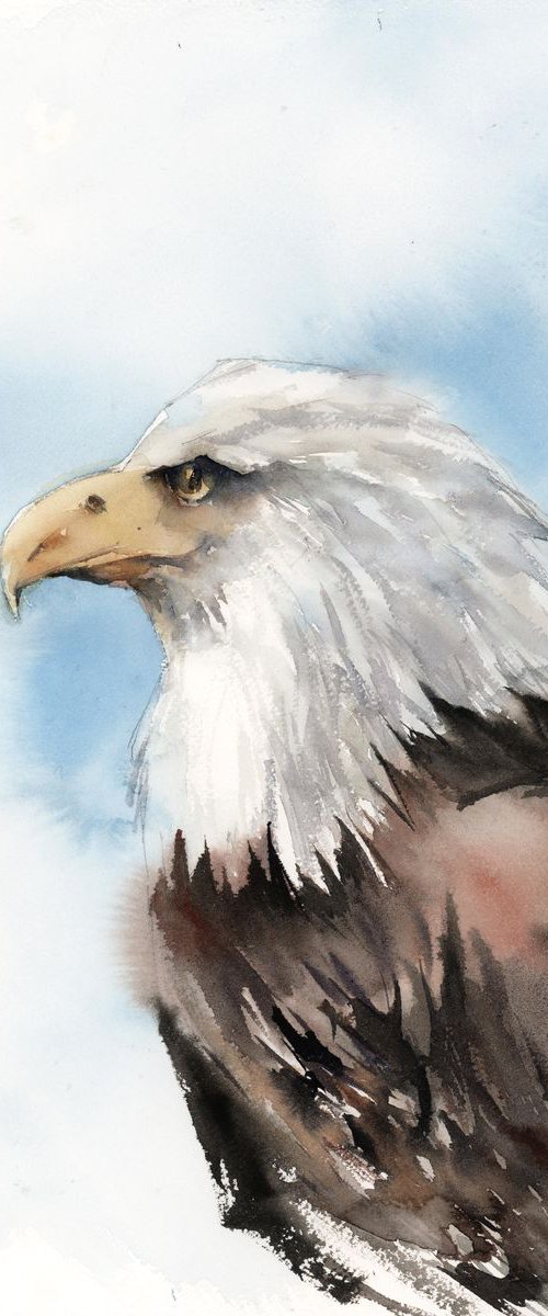 American Eagle watercolor painting by Sophie Rodionov