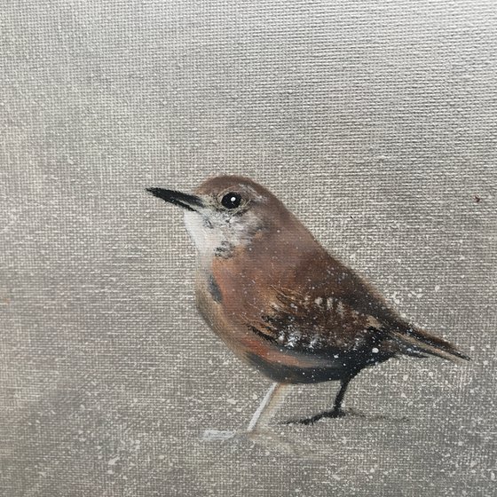 Two Little Wrens ~ on Silver II