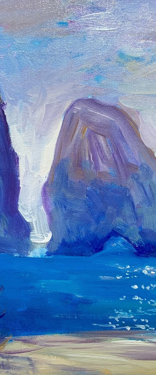 Capri Italy by Olga Pascari