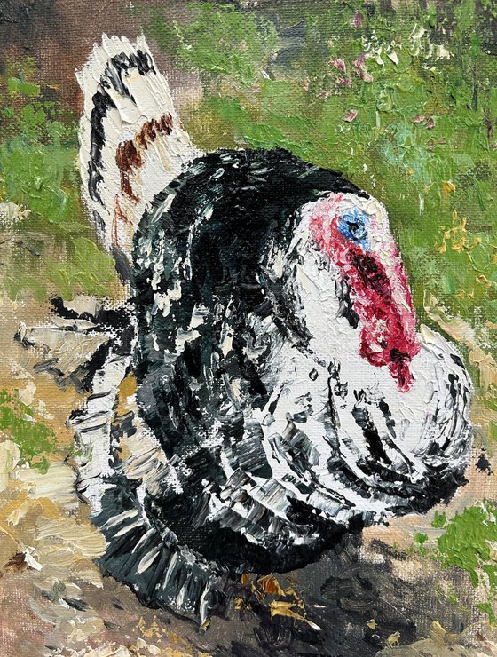 Proud turkey