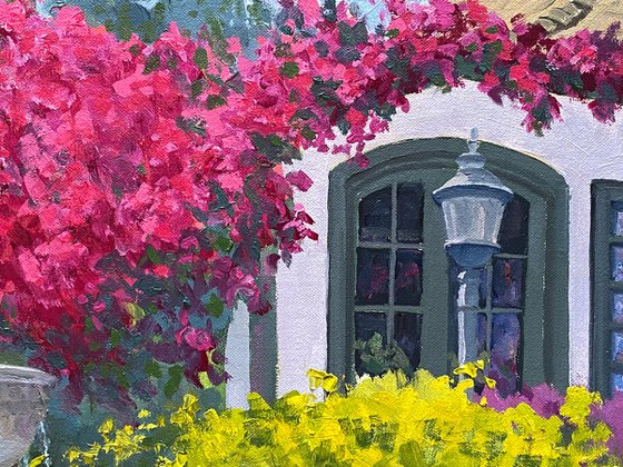 Bougainvillea In Carmel Courtyard