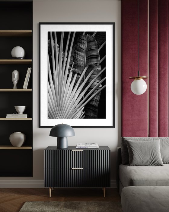 Radiant Frond