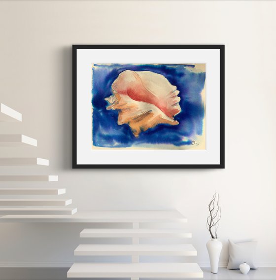 Sea shells