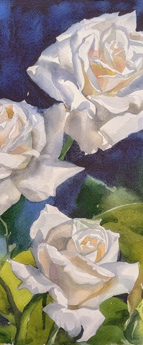 WHITE ROSES#3 by Yurii Pashkov