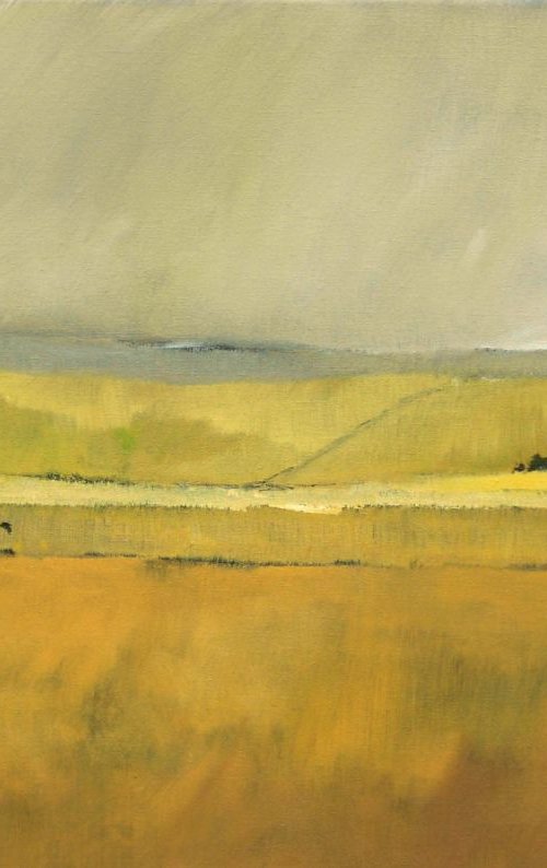 Wheatfields by Jan Rippingham