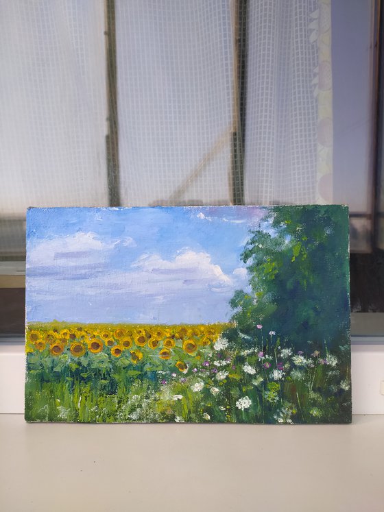 Landscape with sunflowers