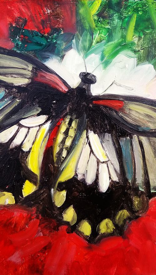 Butterfly #2 by HELINDA (Olga Müller)