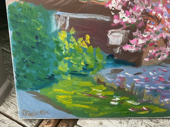 Blooming magnolia in Dalen