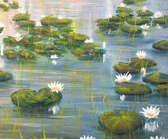 Lilies pond