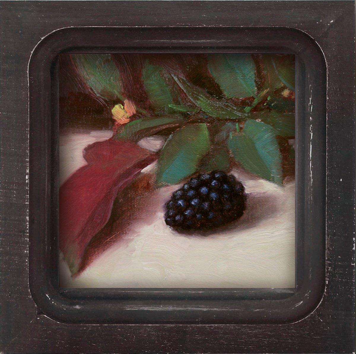 Botanical Oil Painting By Ayna Paisley, 5 X 5, Blackberry Study, Original Artwork