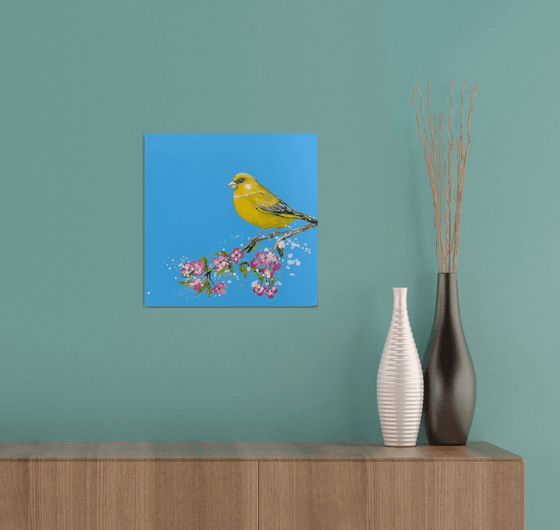 Songbird: The Green Finch