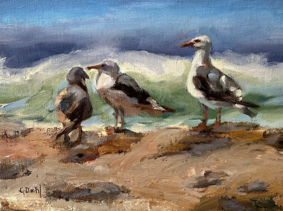 Seabirds