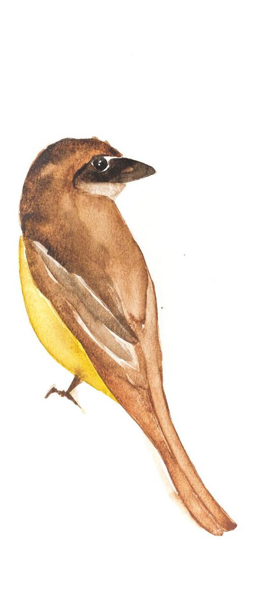 Bird by Nadia Moniatis