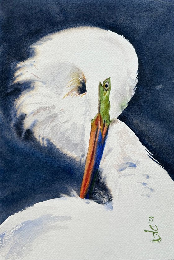 Birds: White Heron and Anhinga