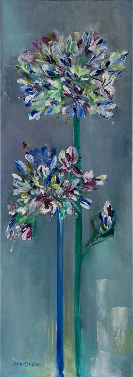 AGAPANTHUS, Oil on canvas panel