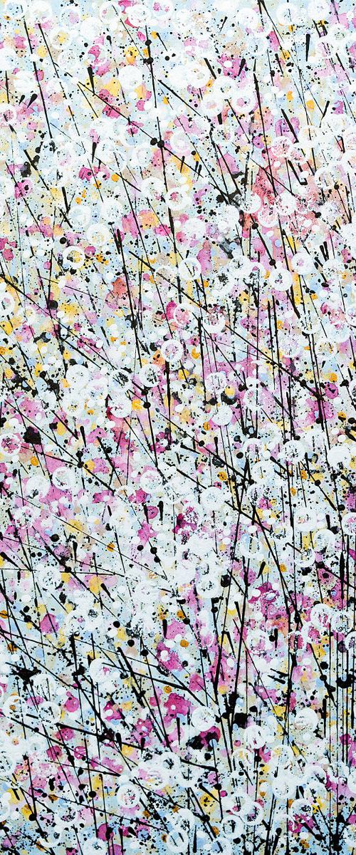 Pink And White Spring Blossom by Marc Todd