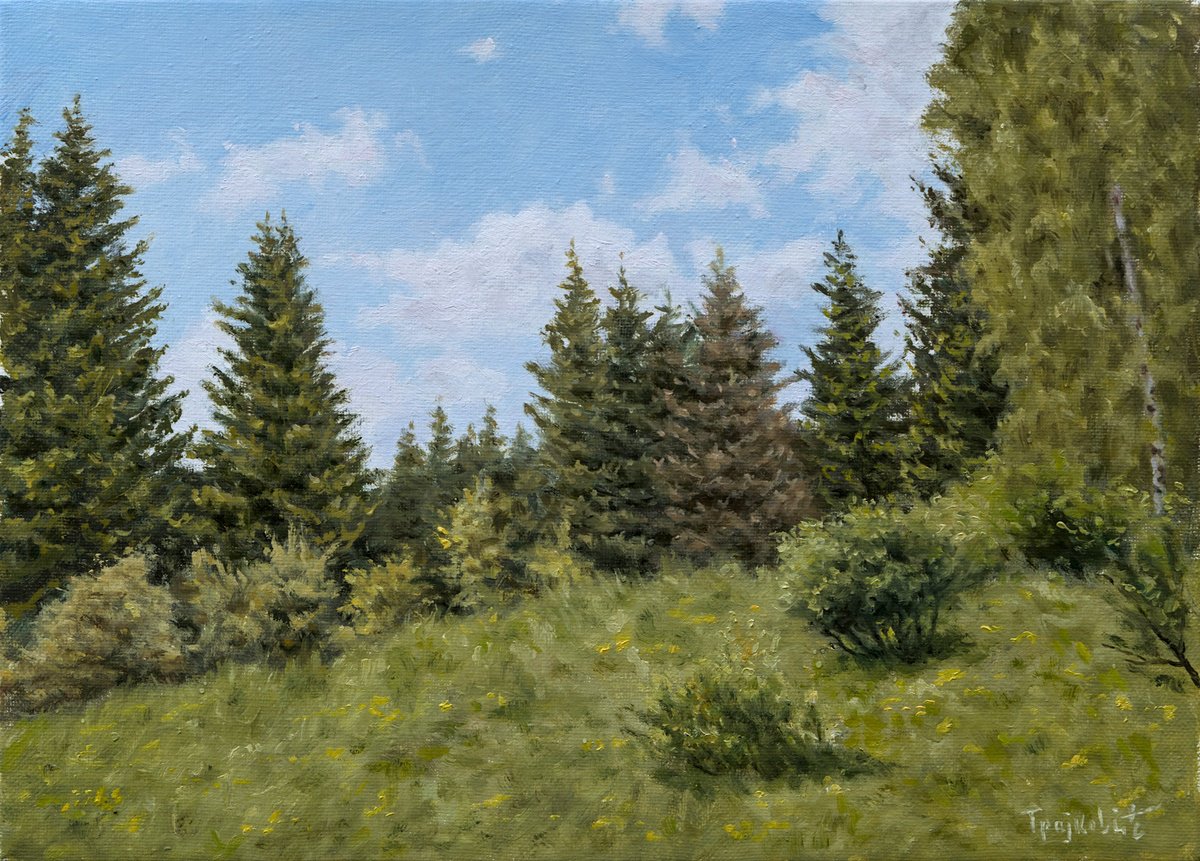 Impressionistic Landscape Oil Painting By Dejan Trajkovic, 14 X 10, Cemernik Pines, Original Artwork