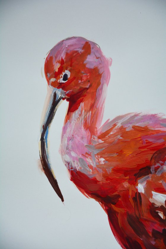 Red ibis - bird painting