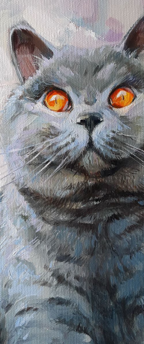 Cat portrait Lancelot by Nataly Derevyanko
