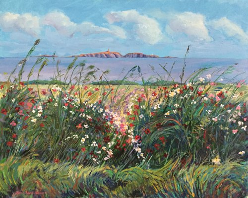 'The Isle of May seen from Fife, with glorious Wildflowers' by Stephen Howard Harrison