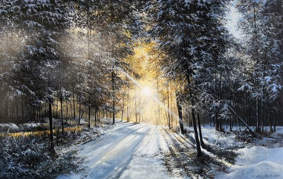 Snow-Covered Path the Pines