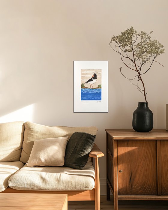 Oystercatcher